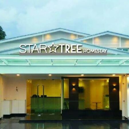 星星树家庭旅馆 关丹 外观 照片